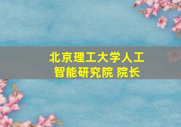 北京理工大学人工智能研究院 院长